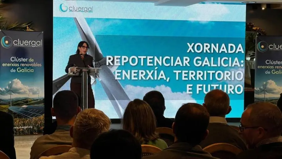 Lorenzana en la jornada de repotenciaci&oacute;n e&oacute;lica