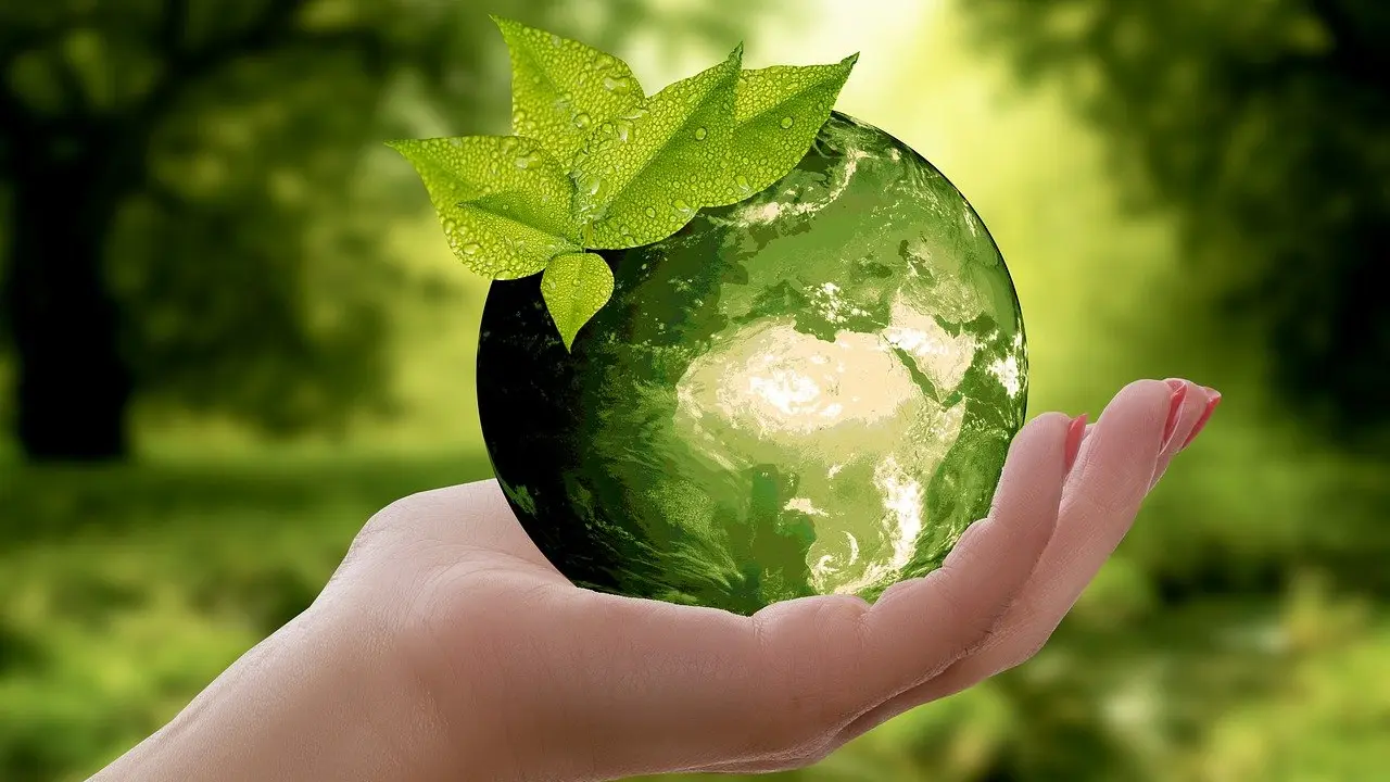 medio_ambiente